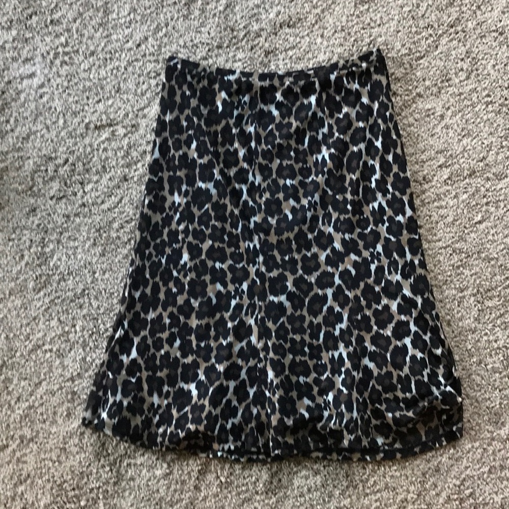 Dress skirt Express